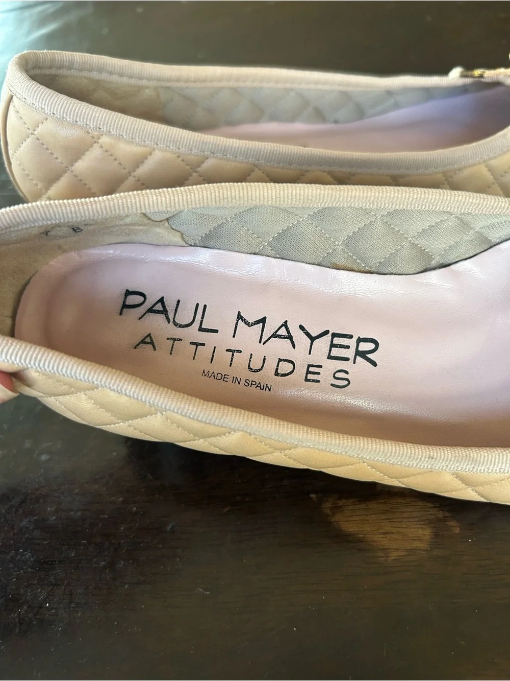 Paul Mayer attitudes ballet shoe